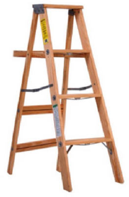 4' WD Type II Ladder