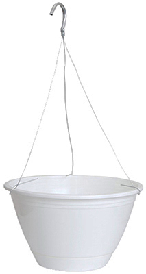 10" WHT Hang Basket