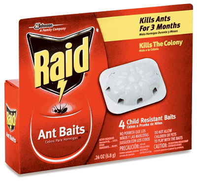 RAID 4PACK ANT TRAP