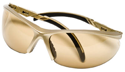 EssAdj1139 Safe Glasses