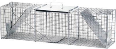 42x10x13 Raccoon Trap