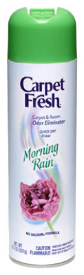 10.5 OZ Carpet Fresh Rain Foam