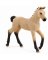 Hannoverian Foal 13929
