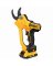 Dewalt 20V Pruner