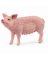 Pig Toy Figurine 13933