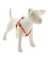 3/4x20-30OD Dog Harness