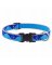 3/4x9-14" BP Dog Collar