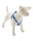 3/4x15-21BP Dog Harness