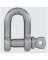 1/4" SS D Shackle