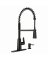 Edwyn 1H BLK Faucet