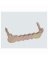 Nail-less STooth Hanger