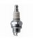 RCJ7Y Spark Plug