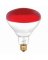 6PK 250W R40 RED Lamp