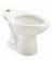 WHT Elong Toilet Bowl