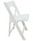 WHT Resin Fold Chair