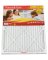 20x25x1Pleat Nat Filter