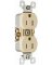 10PK15A IVY Tamp Outlet