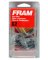 Fram G2CS Gas Filter