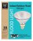 WP 38W Par38 FLD Bulb