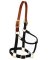 1" Horse BLK Nyl Halter