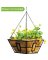 14" Black Square Hanging Basket