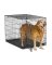 42" Crate Dog Training