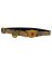 12" ADJ ORG Cat Collar