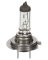 BP1255H7 12V Auto Bulb