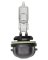 BP885 12V Fog Lamp Bulb