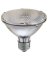 WP 38W Par30 FLD Bulb