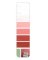 10PK Palette Card A19