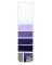10PK Palette Card A31