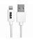 Apple 3' WHT Sync Cable