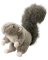 9.5" Squirrel Dog Toy