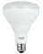 WP 10W BR30 LED Bulb