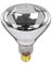 125W CLR R40 Heat Lamp