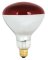 250W RED R40 Heat Lamp