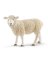 WHT Sheep