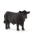 BLK Angus Bull