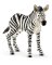 WHT/BLK Zebra Foal