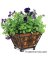 Coco 14" Quatrefoil Planter