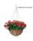 14" Savanna Hang Basket