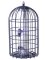 XL 2/1 Bird Feeder