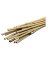 MG6PK 6'HD Bamboo Stake