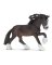 BLK Shire Stallion