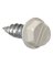 LB 7x.5 WHT Gutt Screw