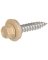 LB 10x1.5 Tan SHT Screw