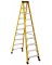 10' FBG Type 1AA Ladder