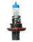 BP9008BLX Auto Bulb