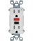 15A WHT DPLX Receptacle